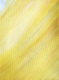 Hues of Yellow and White